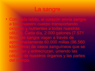 La sangre
• Con cada latido, el corazón envía sangre
a todo nuestro cuerpo transportando
oxígeno y nutrientes a todas nuestras
células. Cada día, 2.000 galones (7.571
litros) de sangre viajan a través de
aproximadamente 60.000 millas (96.560
kilómetros) de vasos sanguíneos que se
ramifican y entrecruzan, uniendo las
células de nuestros órganos y las partes
del cuerpo.
