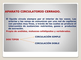 APARATO CIRCULATORIO CERRADO.
El líquido circula siempre por el interior de los vasos. Las
arterias y las venas se comunican por una red de capilares
con paredes muy finas, a través de las cuales se produce el
intercambio de sustancias: nutrientes, gases o productos
de excreción.
Propio de anélidos, moluscos cefalópodos y vertebrados.
CIRCULACIÓN SIMPLE
DOS TIPOS
CIRCULACIÓN DOBLE
 
