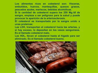 Los alimentos ricos en colesterol son: Vísceras, embutidos, huevos, mantequillas, quesos grasos, pescados azules, mariscos, bebidas alcohólicas. Si la cantidad de colesterol supera los 250 Mg./dl de sangre, empieza a ser peligroso para la salud y puede provocar la aparición de la arteriosclerosis. El colesterol es transportado por la sangre unido a unas proteínas: Las LDH, transportan el colesterol hacia las arterias, y si hay exceso, lo depositan en los vasos sanguíneos. Es el llamado colesterol malo. Las HDL, llevan el colesterol hasta el hígado para ser eliminado. Es el llamado colesterol bueno. 