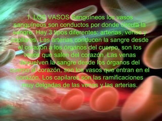 1. LOS VASOS Sanguíneos los vasos sanguíneos son conductos por donde circula la sangre. Hay 3 tipos diferentes: arterias, venas y capilares. Las arterias conducen la sangre desde el corazón a los órganos del cuerpo, son los vasos que salen del corazón. Las venas devuelven la sangre desde los órganos del cuerpo al corazón, son los vasos que entran en el corazón. Los capilares son las ramificaciones muy delgadas de las venas y las arterias. 