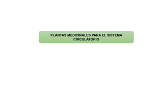 PLANTAS MEDICINALES PARA EL SISTEMA
CIRCULATORIO
 