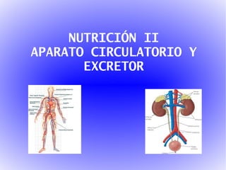 NUTRICIÓN II APARATO CIRCULATORIO Y EXCRETOR 