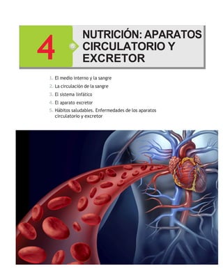 1. El medio interno y la sangre
2. La circulación de la sangre
3. El sistema linfático
4. El aparato excretor
5. Hábitos saludables. Enfermedades de los aparatos
circulatorio y excretor
CIRCULATORIO Y
EXCRETOR
 