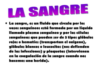 La sangre, es un fluido que circula por los vasos sanguíneos está formada por un líquido llamado plasma sanguíneo y por las células sanguíneas que pueden ser de 3 tipos glóbulos rojos o hematíes (transportan el oxígeno), glóbulos blancos o leucocitos (nos defienden de las infecciones) y plaquetas (intervienen en la coagulación de la sangre cuando nos hacemos una herida). LA SANGRE 