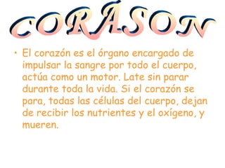 El corazón es el órgano encargado de impulsar la sangre por todo el cuerpo, actúa como un motor. Late sin parar durante toda la vida. Si el corazón se para, todas las células del cuerpo, dejan de recibir los nutrientes y el oxígeno, y mueren. CORASON 