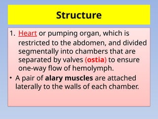 Comprehensive Overview of the Insect Circulatory System and Hemolymph ...