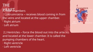 CIRCULATORY SYSTEM OF THE BODY SCI9.pptx