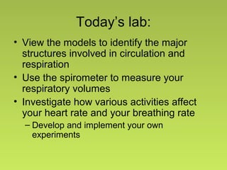 Today’s lab:
• View the models to identify the major
structures involved in circulation and
respiration
• Use the spirometer to measure your
respiratory volumes
• Investigate how various activities affect
your heart rate and your breathing rate
– Develop and implement your own
experiments
 