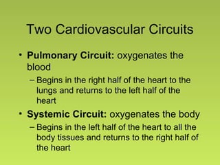 Two Cardiovascular Circuits
• Pulmonary Circuit: oxygenates the
blood
– Begins in the right half of the heart to the
lungs and returns to the left half of the
heart
• Systemic Circuit: oxygenates the body
– Begins in the left half of the heart to all the
body tissues and returns to the right half of
the heart
 