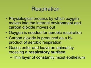 Respiration
• Physiological process by which oxygen
moves into the internal environment and
carbon dioxide moves out
• Oxygen is needed for aerobic respiration
• Carbon dioxide is produced as a bi-
product of aerobic respiration
• Gases enter and leave an animal by
crossing a respiratory surface
–Thin layer of constantly moist epithelium
 