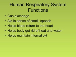 Human Respiratory System
Functions
• Gas exchange
• Aid in sense of smell, speech
• Helps blood return to the heart
• Helps body get rid of heat and water
• Helps maintain internal pH
 