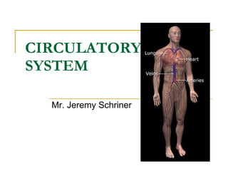 CIRCULATORY  SYSTEM   Mr. Jeremy Schriner 