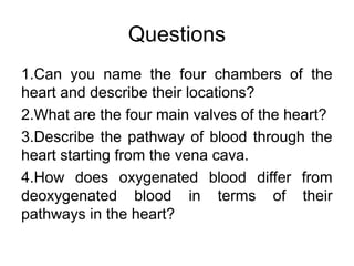 Questions
1.Can you name the four chambers of the
heart and describe their locations?
2.What are the four main valves of the heart?
3.Describe the pathway of blood through the
heart starting from the vena cava.
4.How does oxygenated blood differ from
deoxygenated blood in terms of their
pathways in the heart?
 