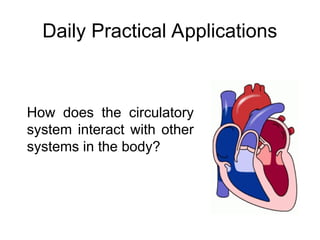 Daily Practical Applications
How does the circulatory
system interact with other
systems in the body?
 