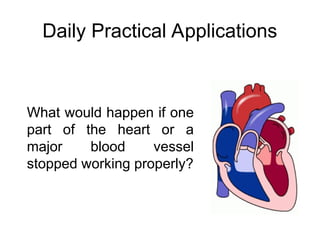 Daily Practical Applications
What would happen if one
part of the heart or a
major blood vessel
stopped working properly?
 