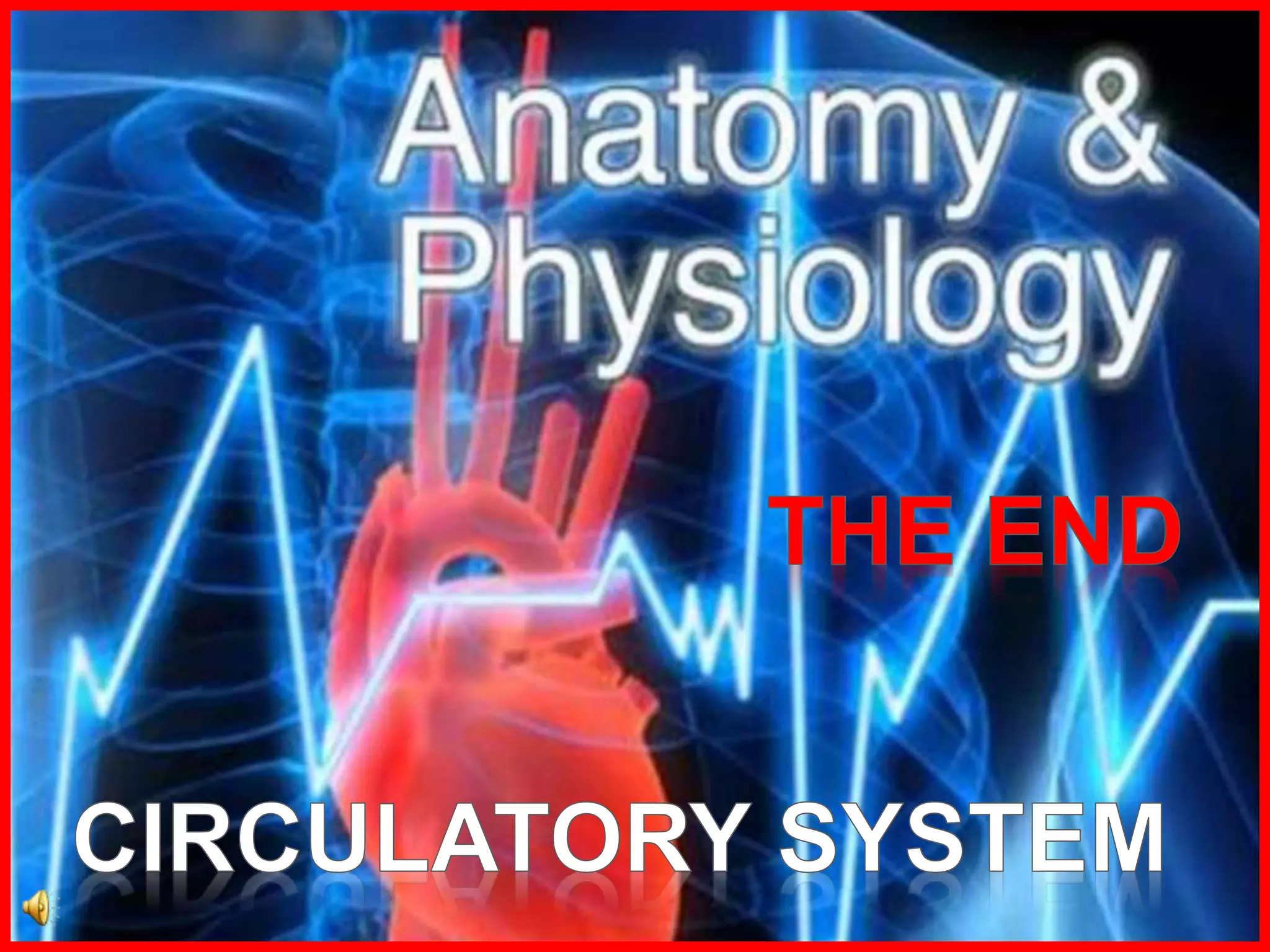 Circulatory-System-STEM.ppt