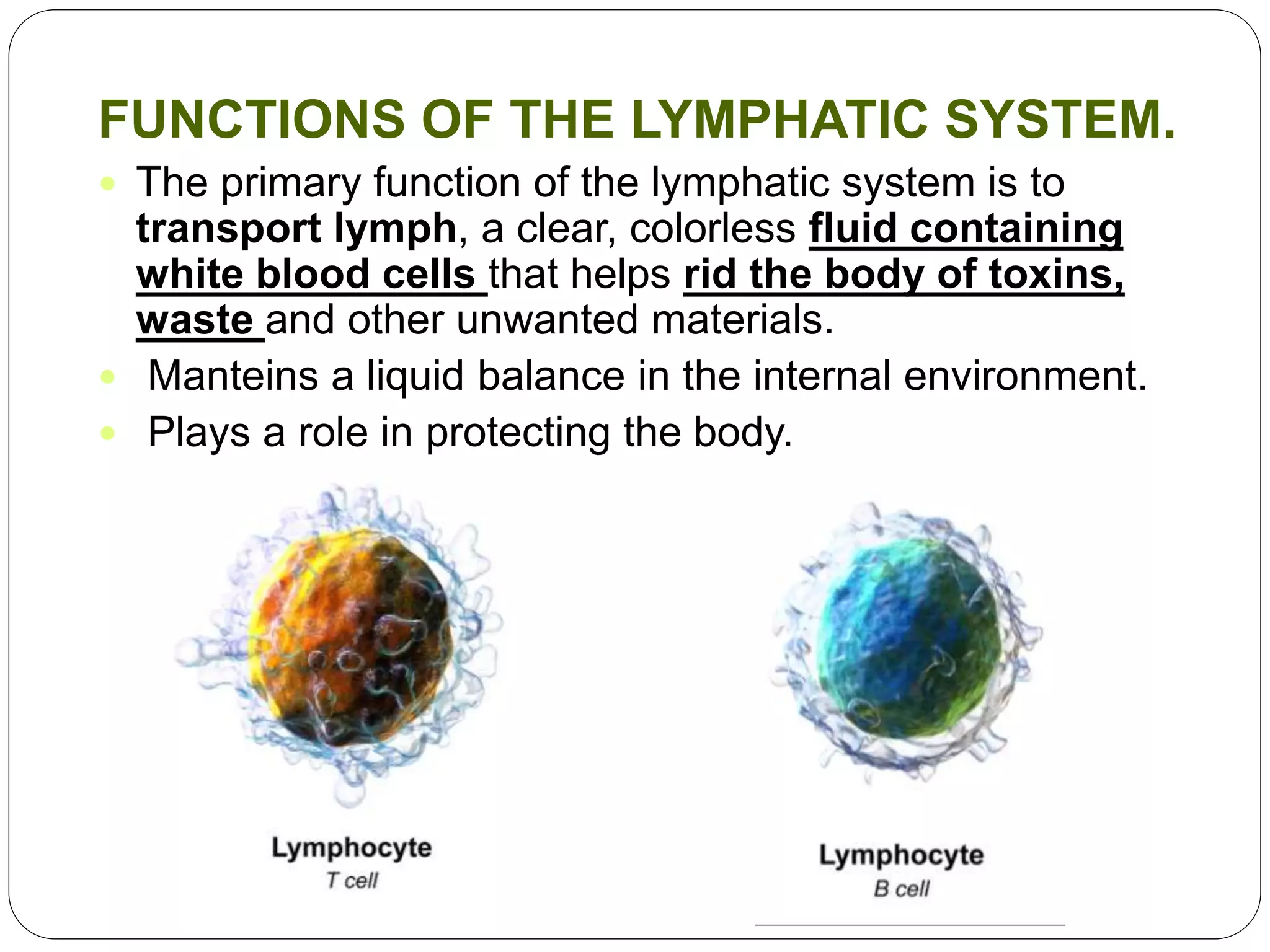 FUNCTIONS OF THE LYMPHATIC SYSTEM.
 The primary function of the lymphatic system is to
transport lymph, a clear, colorless fluid containing
white blood cells that helps rid the body of toxins,
waste and other unwanted materials.
 Manteins a liquid balance in the internal environment.
 Plays a role in protecting the body.
 
