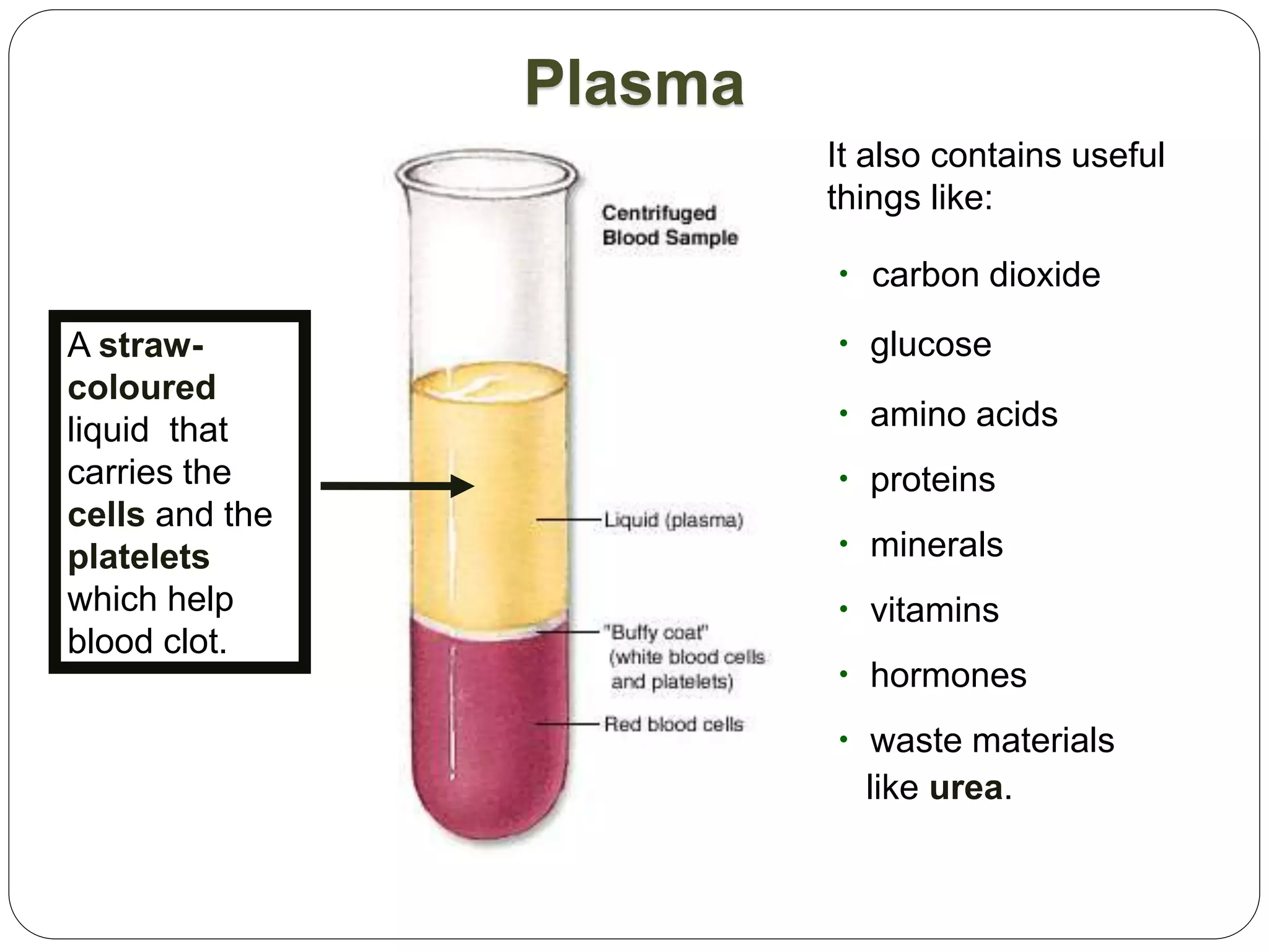 Plasma
A straw-
coloured
liquid that
carries the
cells and the
platelets
which help
blood clot.
• carbon dioxide
• glucose
• amino acids
• proteins
• minerals
• vitamins
• hormones
• waste materials
like urea.
It also contains useful
things like:
 