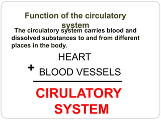 The circulatory system carries blood and
dissolved substances to and from different
places in the body.
Function of the circulatory
system
BLOOD VESSELS
CIRULATORY
SYSTEM
HEART
+
 