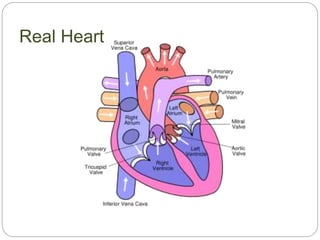 Real Heart
 
