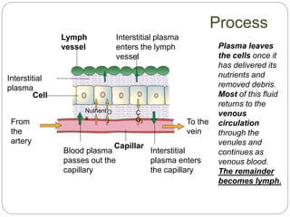 From
the
artery
To the
vein
Lymph
vessel
Interstitial plasma
enters the lymph
vessel
Interstitial
plasma enters
the capillary
Capillar
Blood plasma
passes out the
capillary
Cell
Interstitial
plasma
Nutrient
s
O
2
C
O2
Plasma leaves
the cells once it
has delivered its
nutrients and
removed debris.
Most of this fluid
returns to the
venous
circulation
through the
venules and
continues as
venous blood.
The remainder
becomes lymph.
Process
 