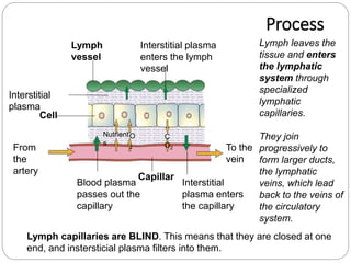 From
the
artery
To the
vein
Lymph
vessel
Interstitial plasma
enters the lymph
vessel
Interstitial
plasma enters
the capillary
Capillar
Blood plasma
passes out the
capillary
Cell
Interstitial
plasma
Nutrient
s
O
2
C
O2
Lymph leaves the
tissue and enters
the lymphatic
system through
specialized
lymphatic
capillaries.
They join
progressively to
form larger ducts,
the lymphatic
veins, which lead
back to the veins of
the circulatory
system.
Lymph capillaries are BLIND. This means that they are closed at one
end, and instersticial plasma filters into them.
Process
 