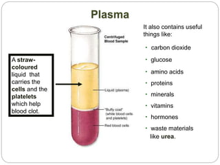 Plasma
A straw-
coloured
liquid that
carries the
cells and the
platelets
which help
blood clot.
• carbon dioxide
• glucose
• amino acids
• proteins
• minerals
• vitamins
• hormones
• waste materials
like urea.
It also contains useful
things like:
 