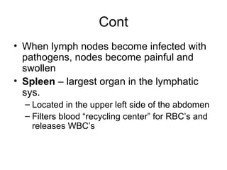Cont
• When lymph nodes become infected with
pathogens, nodes become painful and
swollen
• Spleen – largest organ in the lymphatic
sys.
– Located in the upper left side of the abdomen
– Filters blood “recycling center” for RBC’s and
releases WBC’s
 