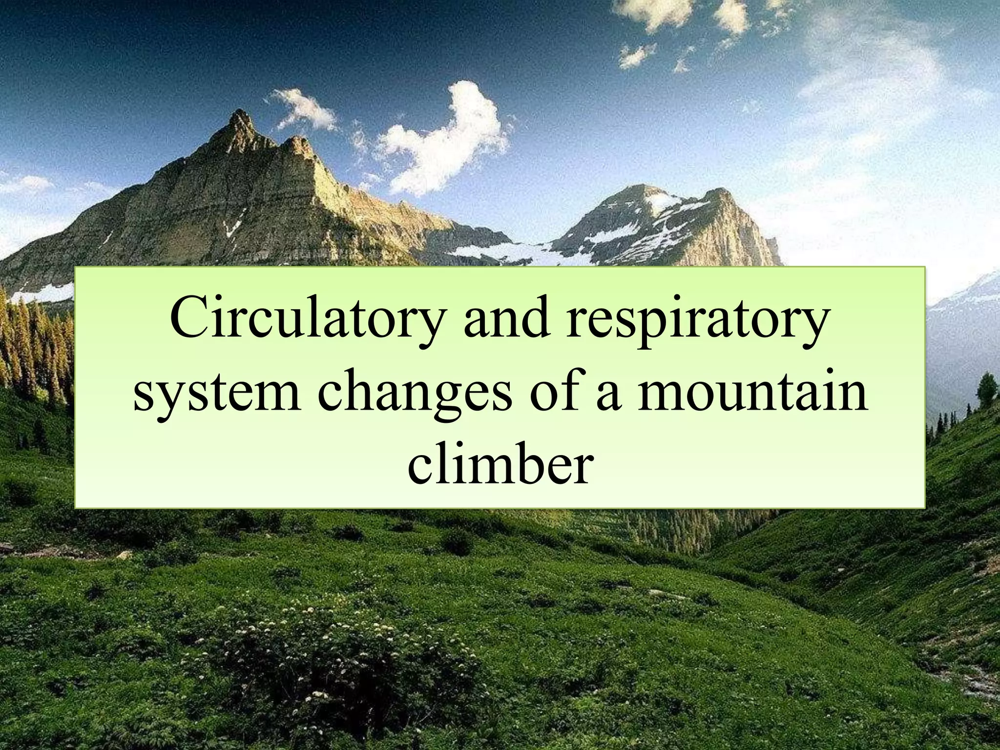 Circulatory and respiratory system changes of a mountain | PPTX