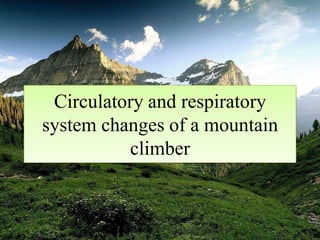 Circulatory and respiratory
system changes of a mountain
climber

 