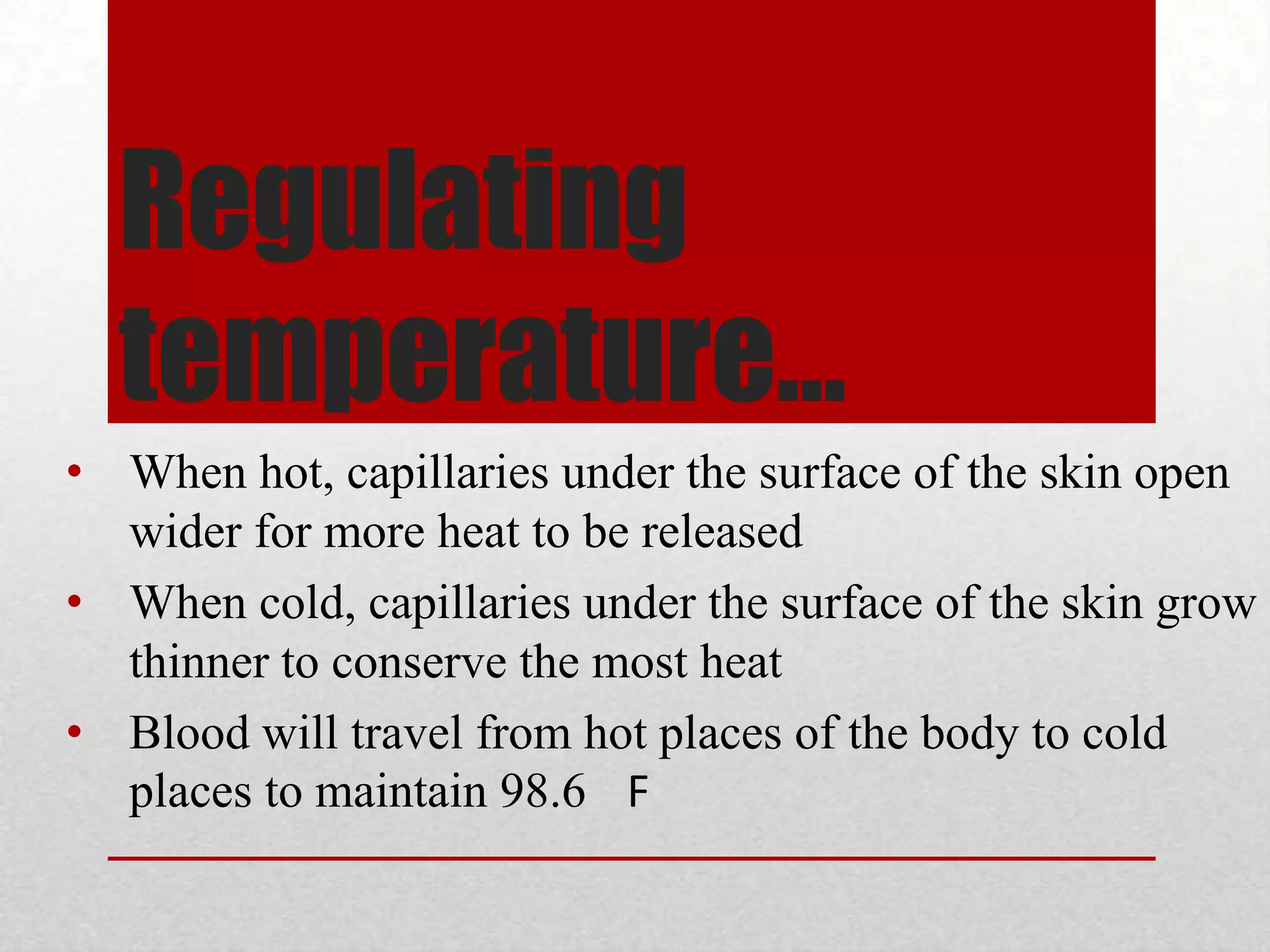 The cardiac cycle of a human heart enters the right atria from the superior vena cava, the upper parts of the body, and the inferior vena cava, the lower part of the body.  From the right atria the blood passes through the tricuspid valve and into the right ventricle.  The pulmonary valve opens to the pulmonary artery and distributes throughout the lungs.  The blood becomes oxygen-rich and enters the left atria via the pulmonary vein. The blood travels through the mitral valve into the left ventricle and opens the aortic valve to enter the aorta.  The oxygenated blood travels throughout the body, distributing oxygen to the cells and comes back to the heart from the superior and inferior vena cava. Pathway of Blood in the Heart