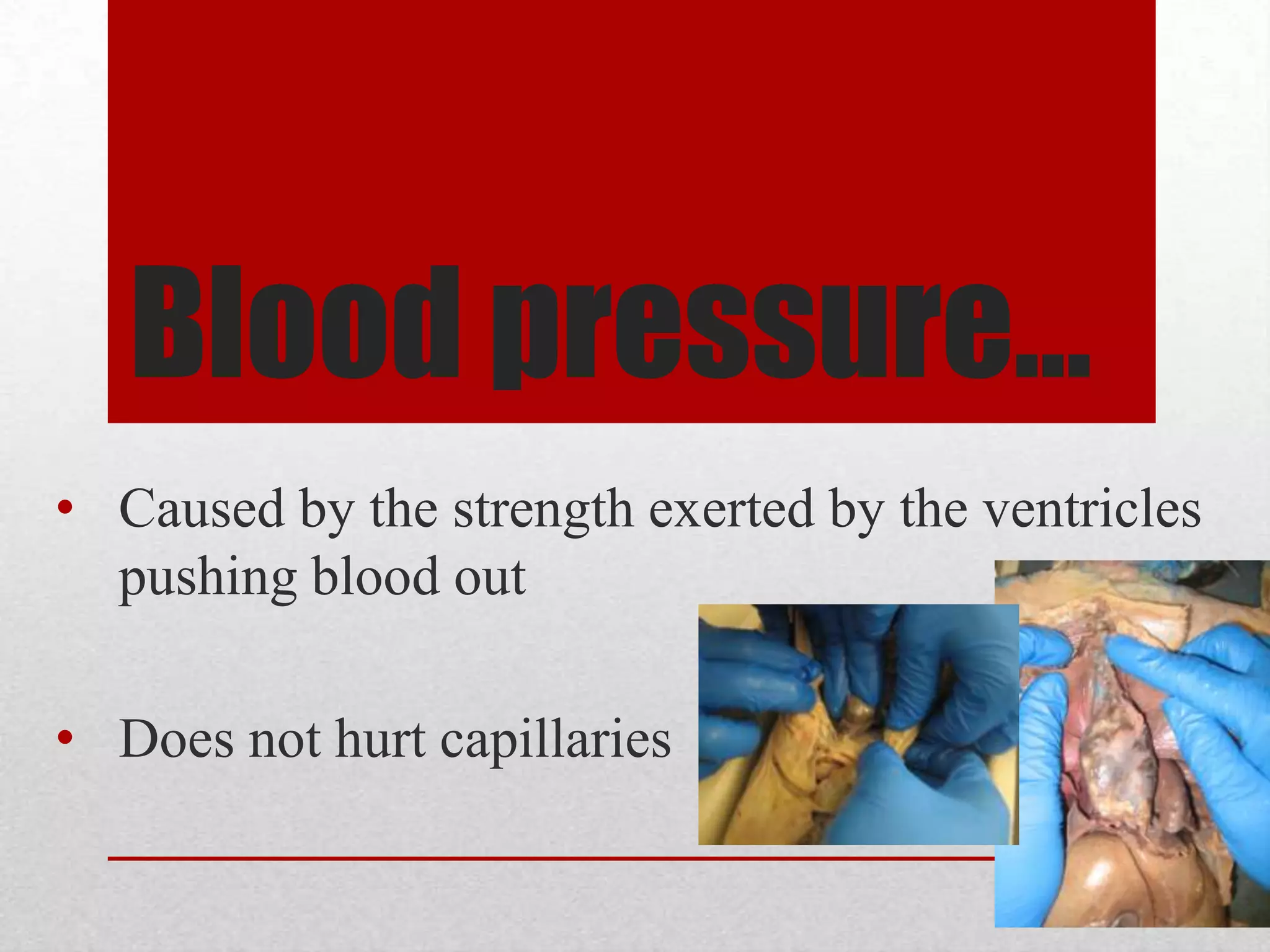 Blood pumps through the heart by a starting electrical pulse causing the chamber to contract as the electrical impulse moves through it. This activates a bundle of specialized cells called the Sino atrial, or sinus node, in the right atria.  The ‘pacemaker’ causes the heart to beat and generates electrical impulses at a given rate to complete a constant heart beat.Electrical Stimuli