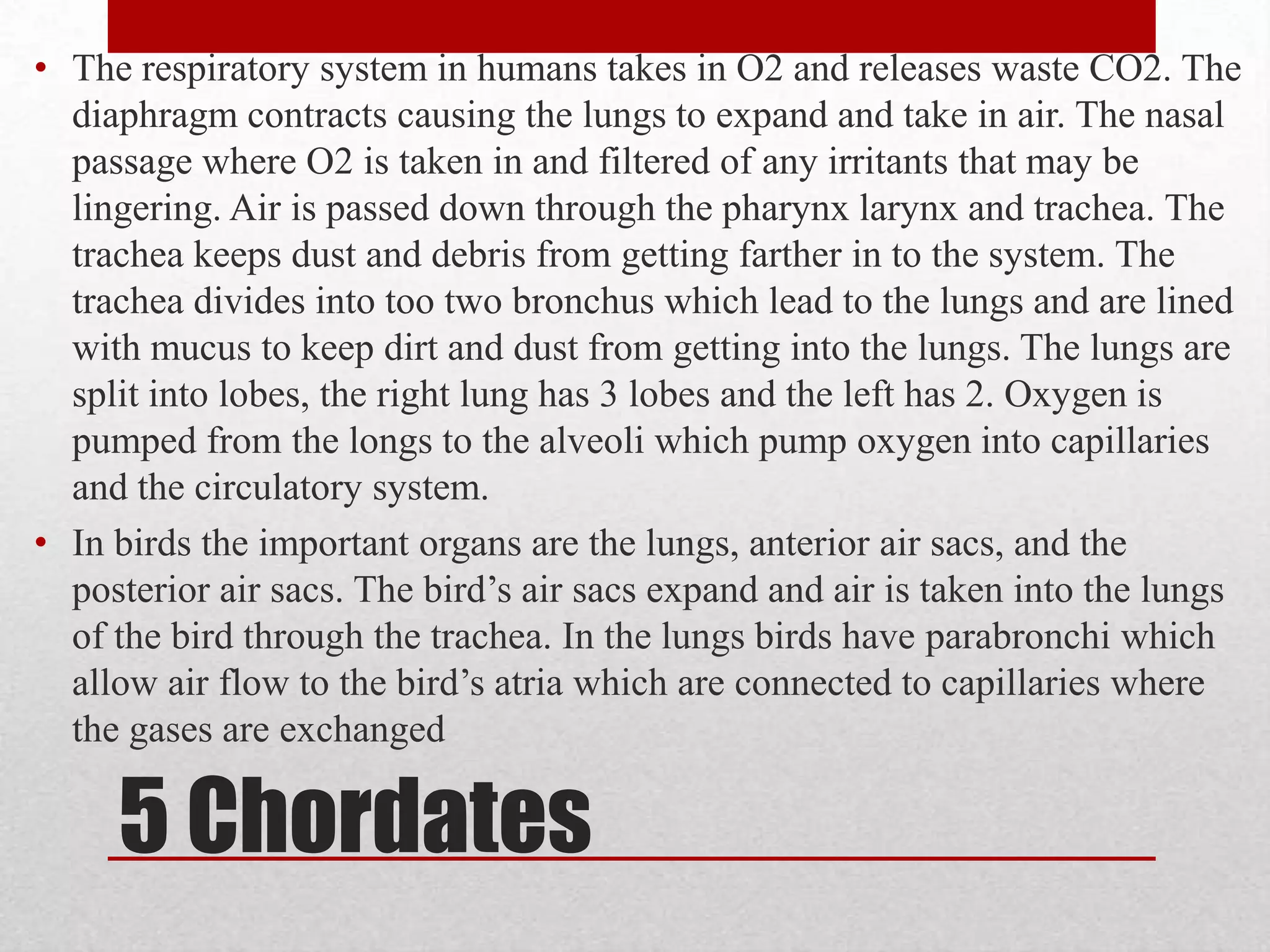 When cold, capillaries under the surface of the skin grow thinner to conserve the most heat