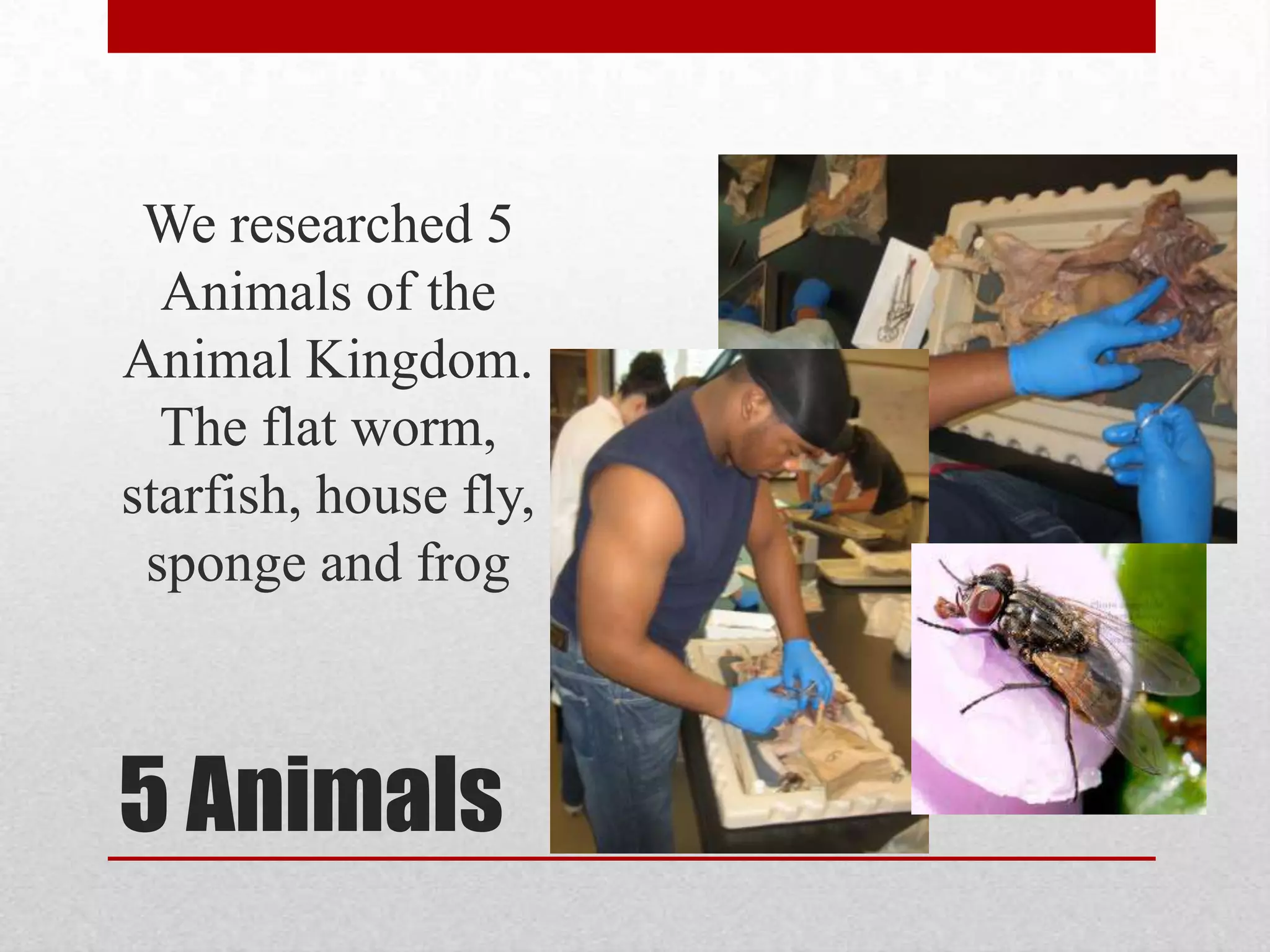 Carry away excretion products (waste)