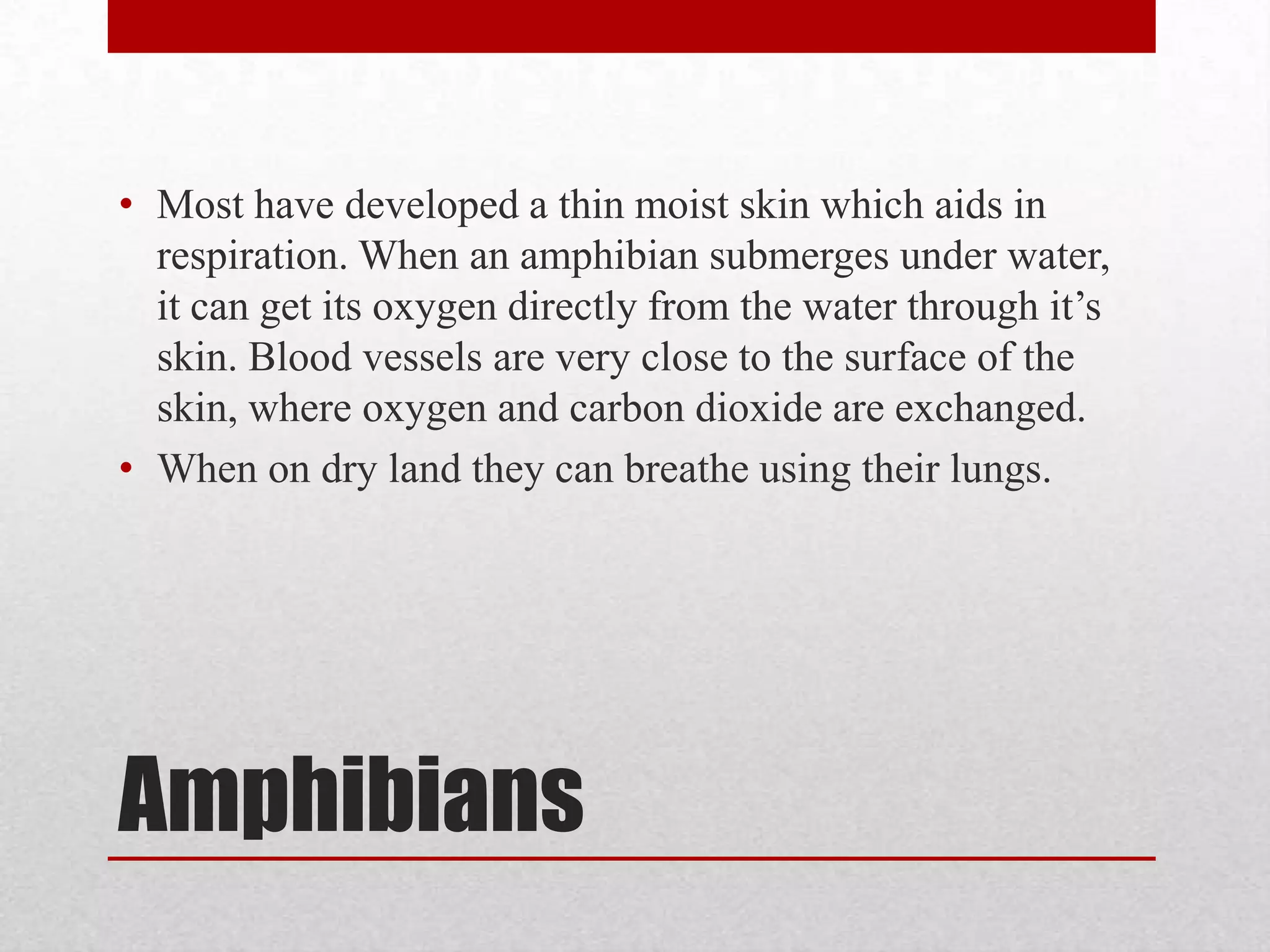 LungsAir enters the body and goes to the lungs.In the lungs are blood vessels and capillaries that carry oxygen depleted blood.Oxygen molecules oxidize the iron in the hemoglobin of red blood cells and can be carried throughout the body.