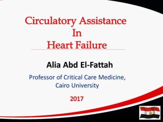 Alia Abd El-Fattah
Professor of Critical Care Medicine,
Cairo University
 