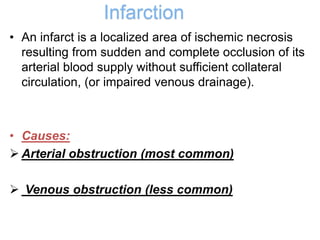 Infarction
• An infarct is a localized area of ischemic necrosis
resulting from sudden and complete occlusion of its
arterial blood supply without sufficient collateral
circulation, (or impaired venous drainage).
• Causes:
 Arterial obstruction (most common)
 Venous obstruction (less common)
 
