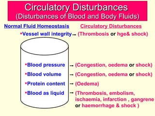 Circulatory Disturbances  (Disturbances of Blood and Body Fluids) Vessel wall integrity Blood pressure Blood volume Protein content Blood as liquid (Thrombosis  or  hge& shock) (Congestion, oedema  or  shock) (Congestion, oedema  or  shock) (Oedema) (Thrombosis, embolism, ischaemia, infarction , gangrene  or  haemorrhage & shock ) Normal Fluid Homeostasis Circulatory Disturbances 
