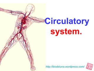 Circulatory 
system. 
http://biodeluna.wordpress.com/ 
 