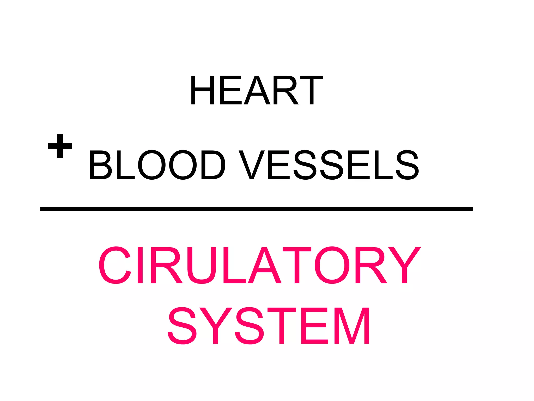 BLOOD VESSELS
CIRULATORY
SYSTEM
HEART
+
 