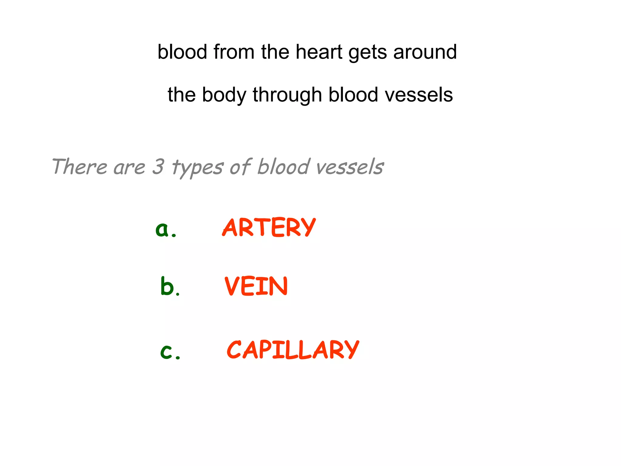 blood from the heart gets around
the body through blood vessels
There are 3 types of blood vessels
a. ARTERY
b. VEIN
c. CAPILLARY
 