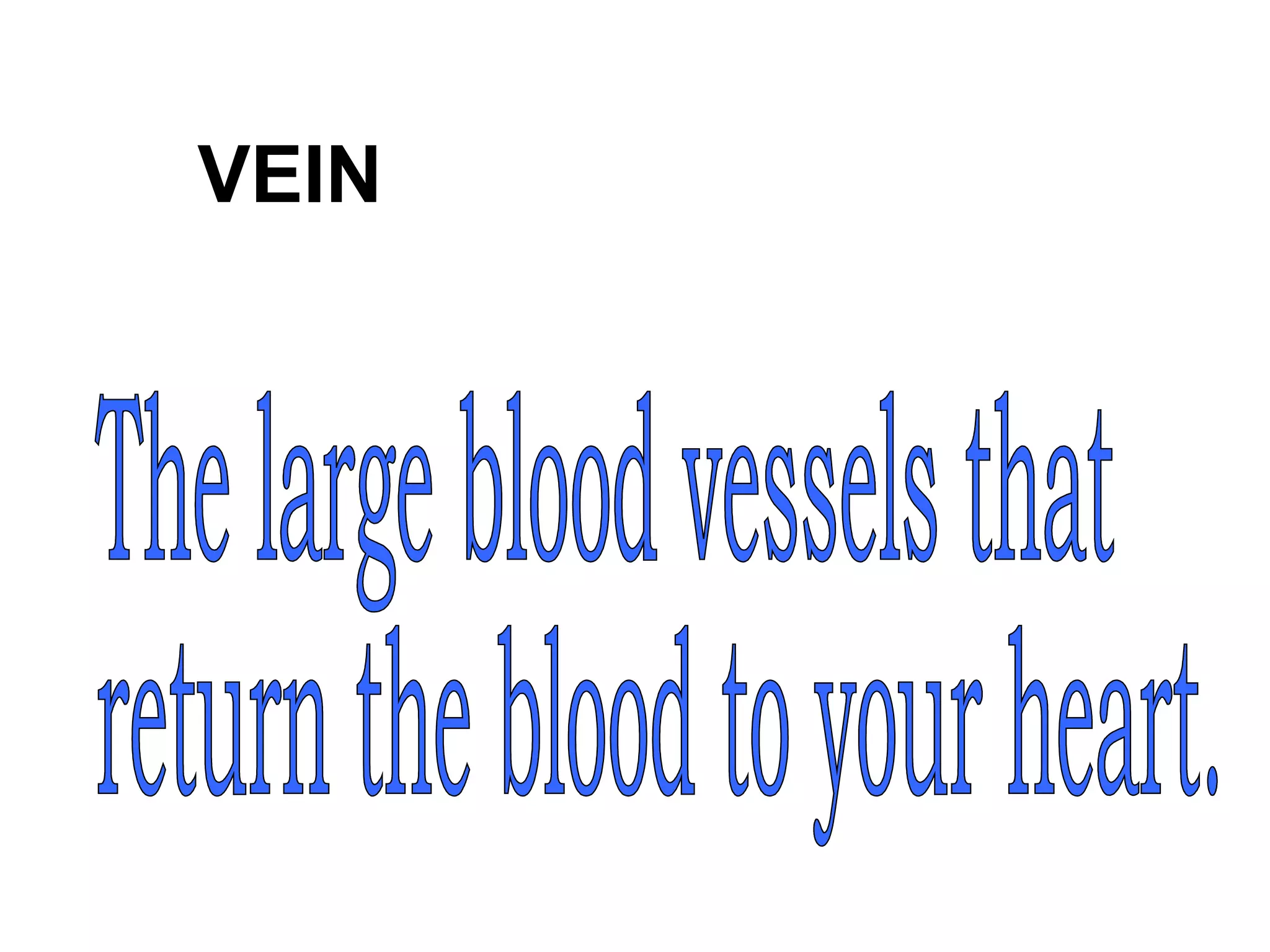 VEIN
 