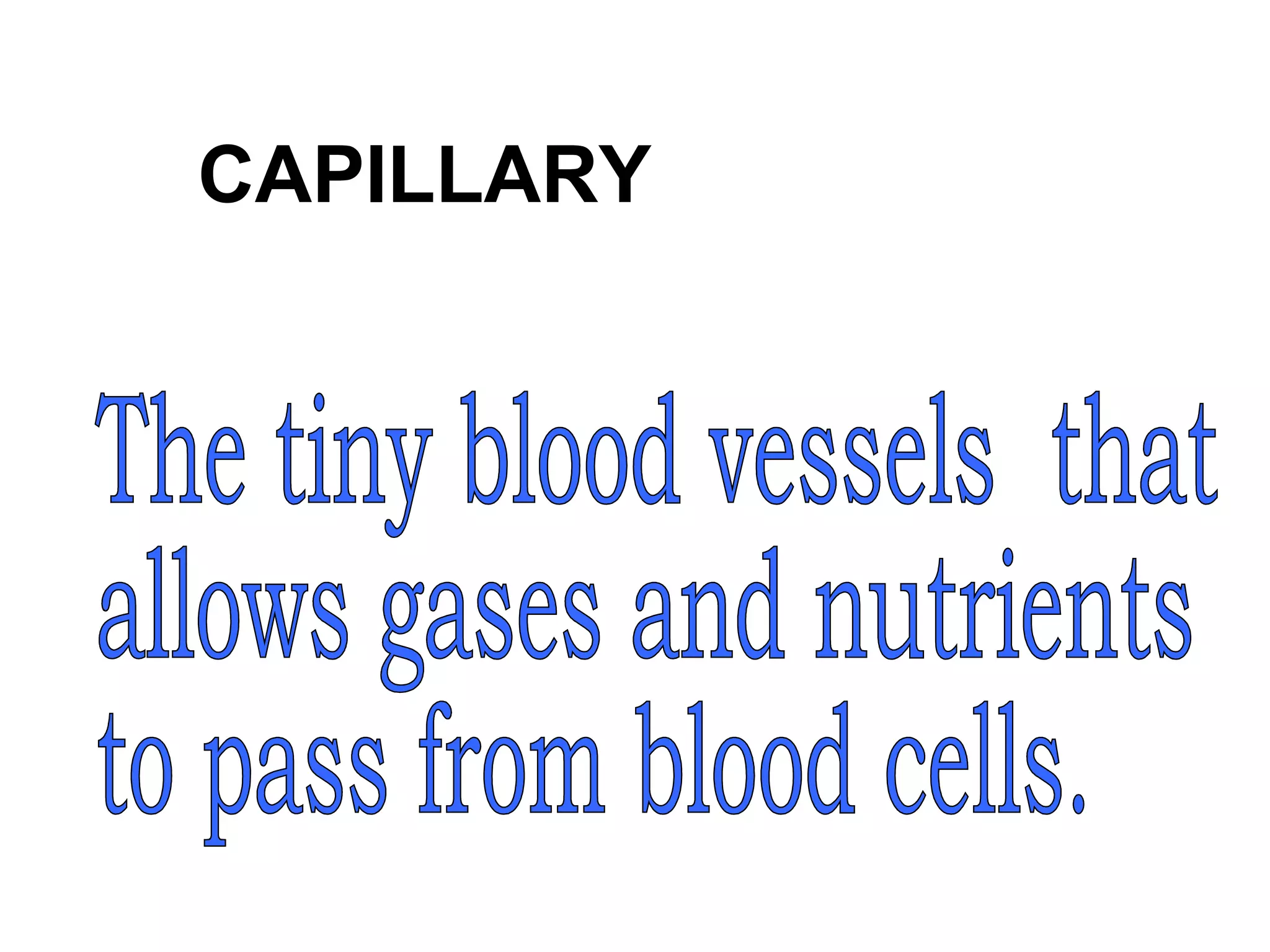 CAPILLARY
 