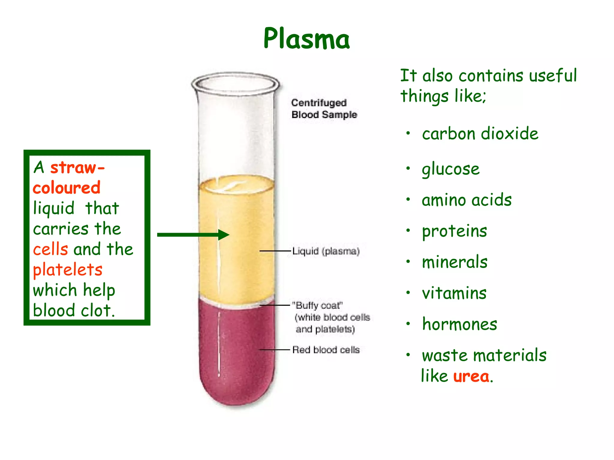 Plasma
A straw-
coloured
liquid that
carries the
cells and the
platelets
which help
blood clot.
• carbon dioxide
• glucose
• amino acids
• proteins
• minerals
• vitamins
• hormones
• waste materials
like urea.
It also contains useful
things like;
 