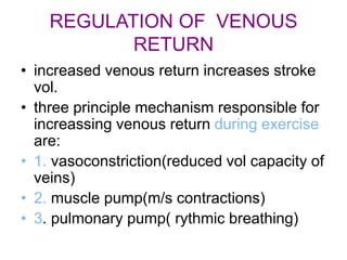 Circulatory responses to exercise | PPT