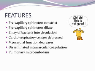 FEATURES
 Pre-capillary sphincters constrict
 Pre-capillary sphincters dilate
 Entry of bacteria into circulation
 Cardio-respiratory centres depressed
 Myocardial function decreases
 Disseminated intravascular coagulation
 Pulmonary microembolism
 