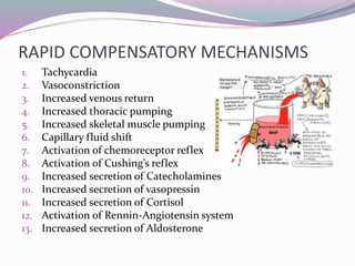 RAPID COMPENSATORY MECHANISMS
1. Tachycardia
2. Vasoconstriction
3. Increased venous return
4. Increased thoracic pumping
5. Increased skeletal muscle pumping
6. Capillary fluid shift
7. Activation of chemoreceptor reflex
8. Activation of Cushing’s reflex
9. Increased secretion of Catecholamines
10. Increased secretion of vasopressin
11. Increased secretion of Cortisol
12. Activation of Rennin-Angiotensin system
13. Increased secretion of Aldosterone
 
