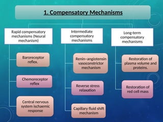 Circulatory Shock ppt physiology seminar | PPTX