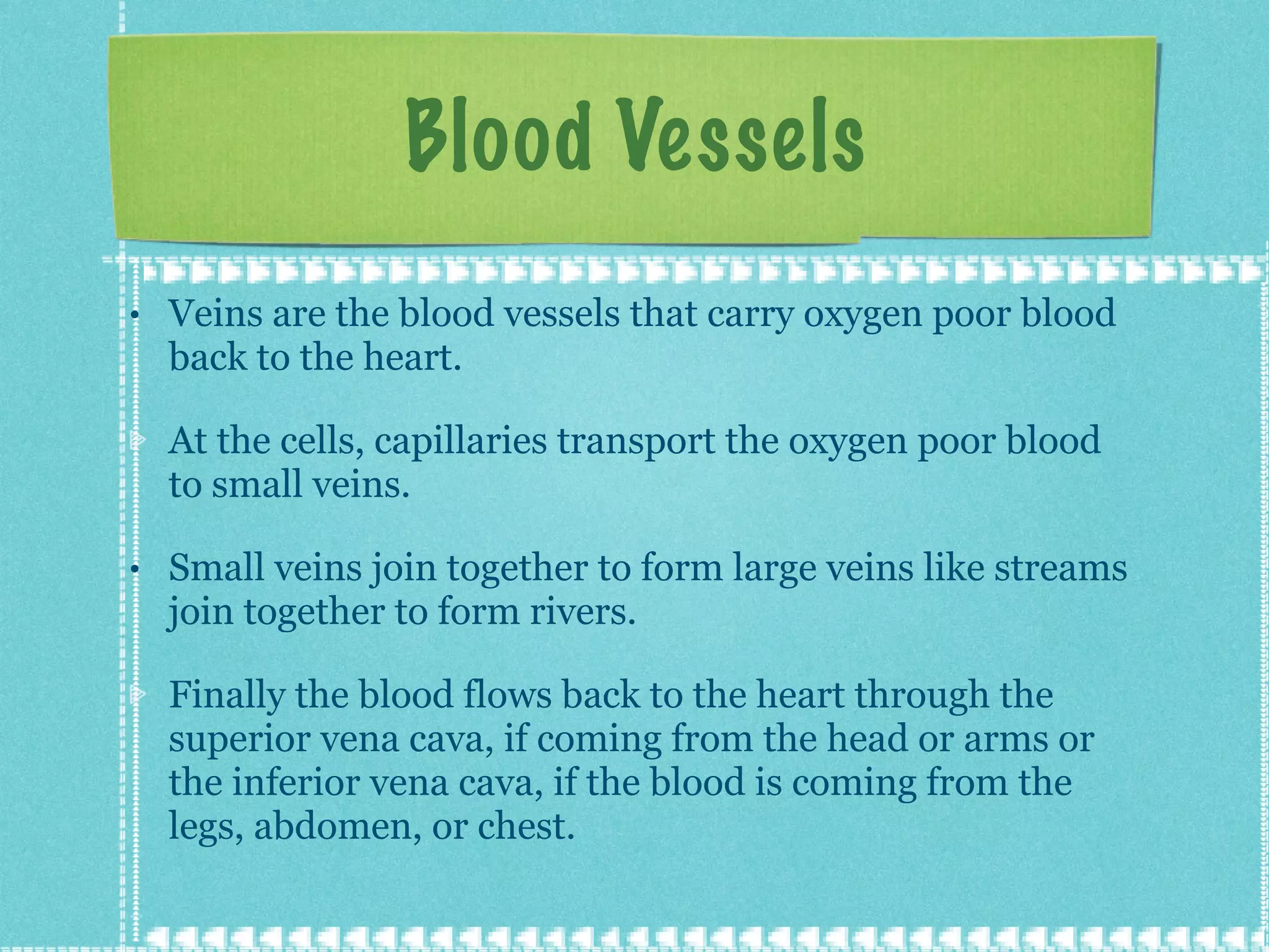 Blood Vessels Veins are the blood vessels that carry oxygen poor blood back to the heart. At the cells, capillaries transport the oxygen poor blood to small veins. Small veins join together to form large veins like streams join together to form rivers. Finally the blood flows back to the heart through the superior vena cava, if coming from the head or arms or the inferior vena cava, if the blood is coming from the legs, abdomen, or chest.  