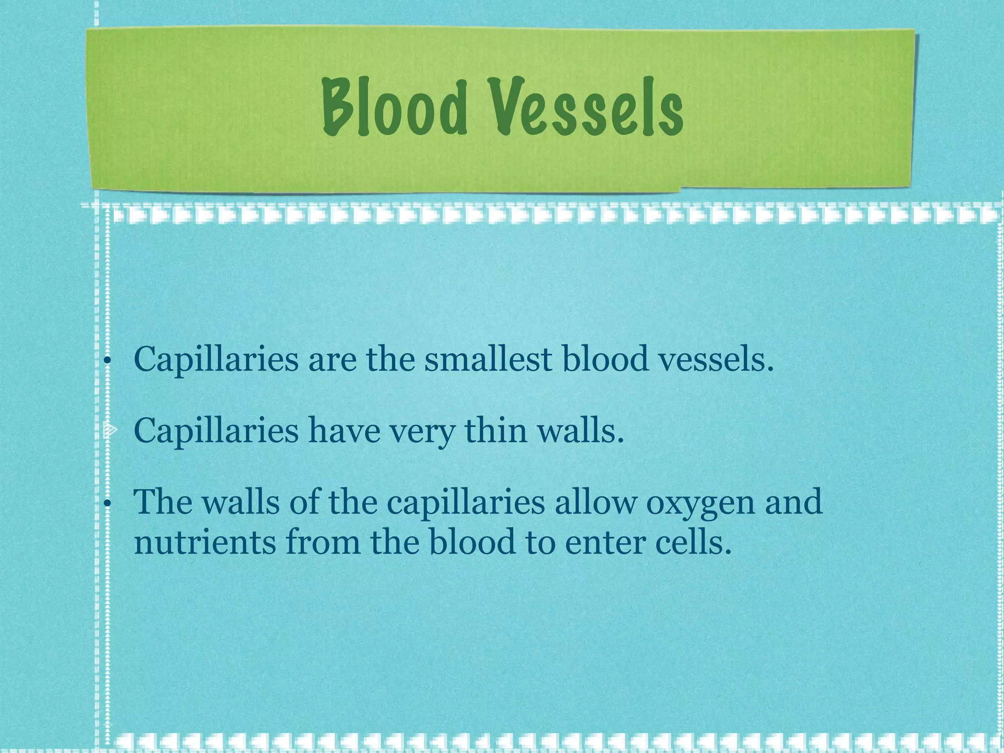 Blood Vessels Capillaries are the smallest blood vessels. Capillaries have very thin walls. The walls of the capillaries allow oxygen and nutrients from the blood to enter cells. 